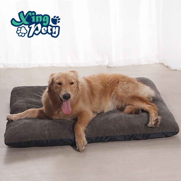 Pet Cushions