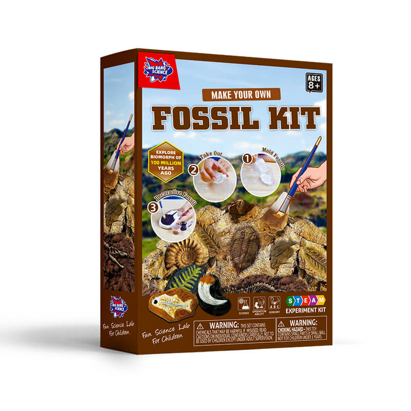 Fossil Kit--New Arrivals