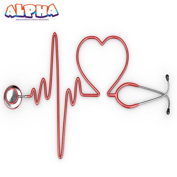 Alpha science classroom： DIY Straw Heart Monitor